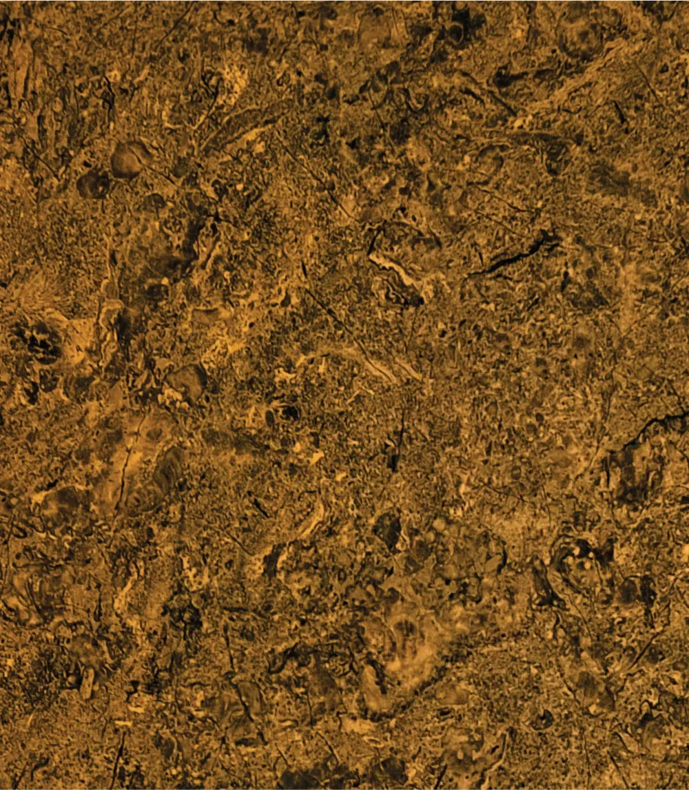 Sapphire Sleek - 15204